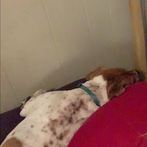 Meet your Posher, Jacob